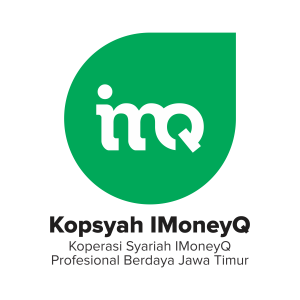logo-imoneyq